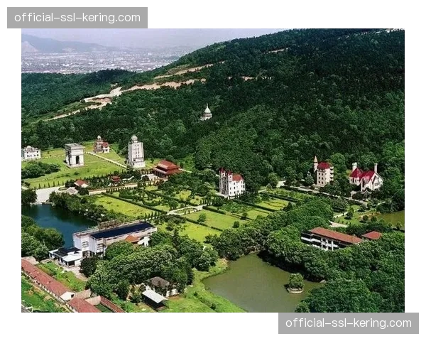 中游集团分差史上最小,竞争惨烈度前所未有 中游集团分差史上最小,竞争惨烈度前所未有